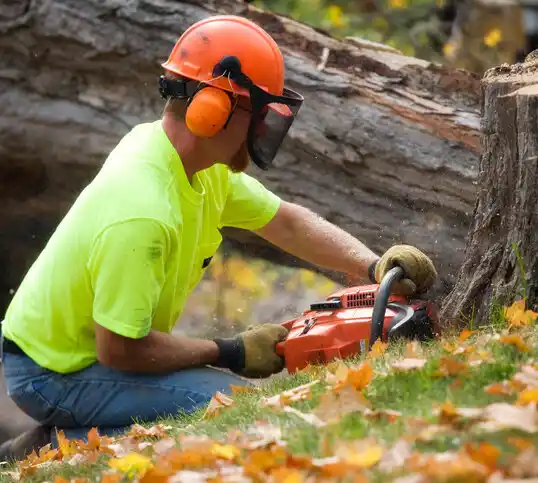 tree services Ferguson